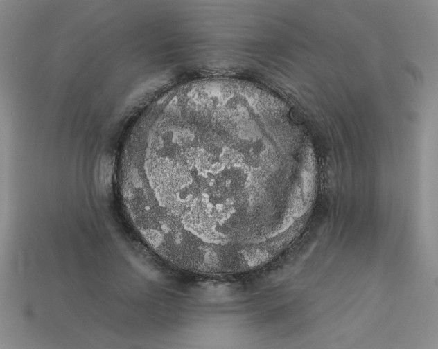 X0000113980742200910161622