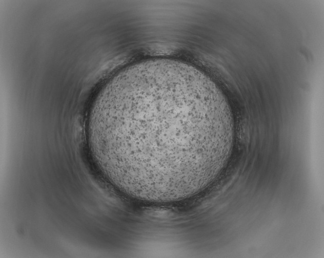 X0000113980743200910161622