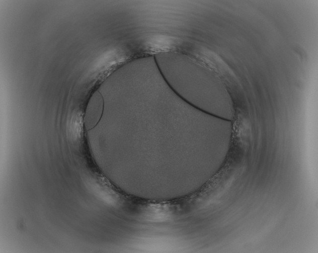 X0000113980744200910161622