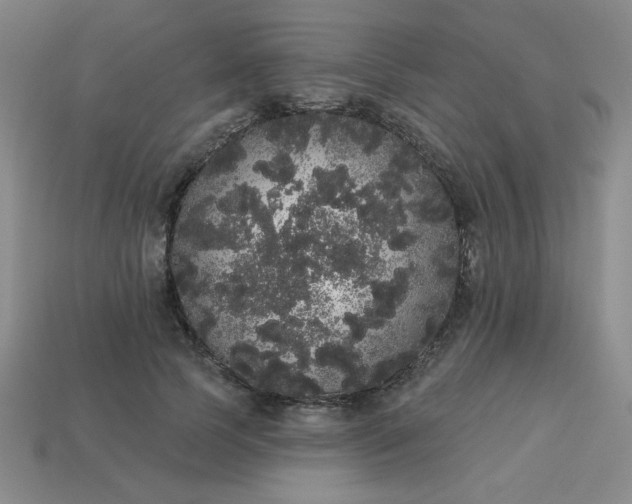 X0000113980745200910161622