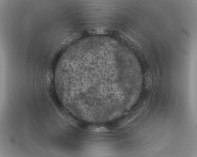 X0000113980747200910161622