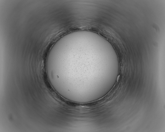 X0000113980748200910161622