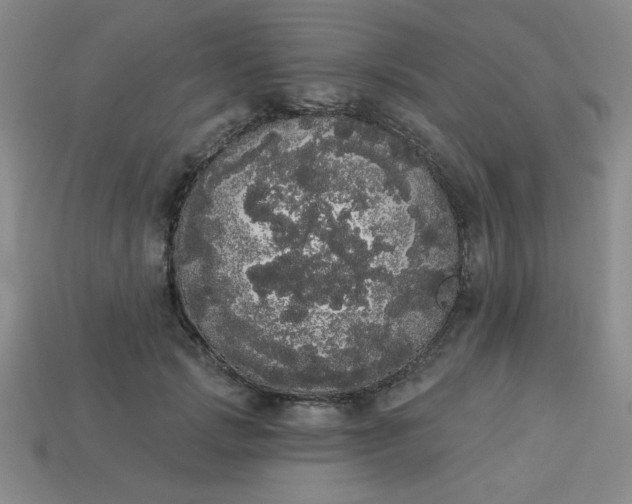 X0000113980749200910161622