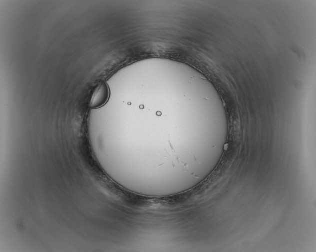 X0000113980750200910161622