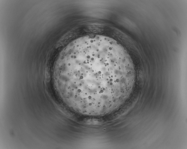 X0000113980751200910161622