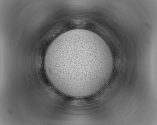 X0000113980752200910161622