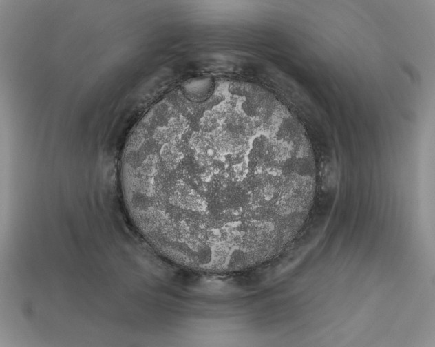 X0000113980753200910161622