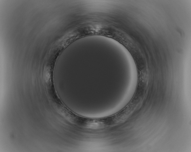 X0000113980754200910161622