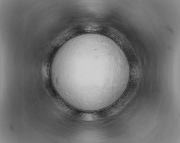 X0000113980755200910161622