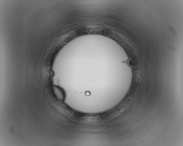 X0000113980756200910161622