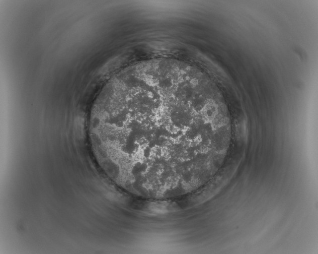 X0000113980757200910161622