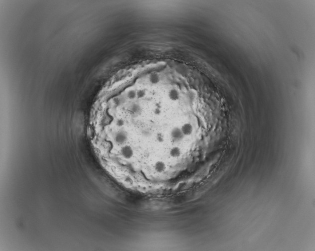 X0000113980758200910161622