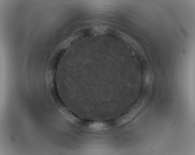 X0000113980759200910161622