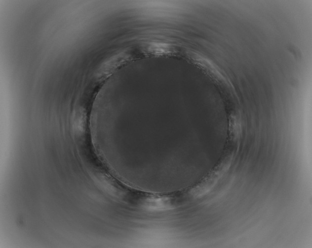 X0000113980760200910161622