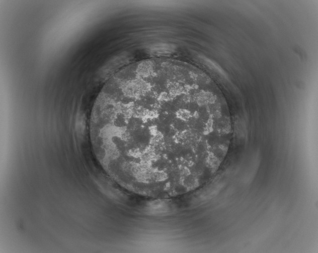 X0000113980761200910161622