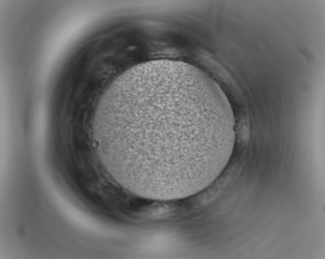 X0000113980764200910161622