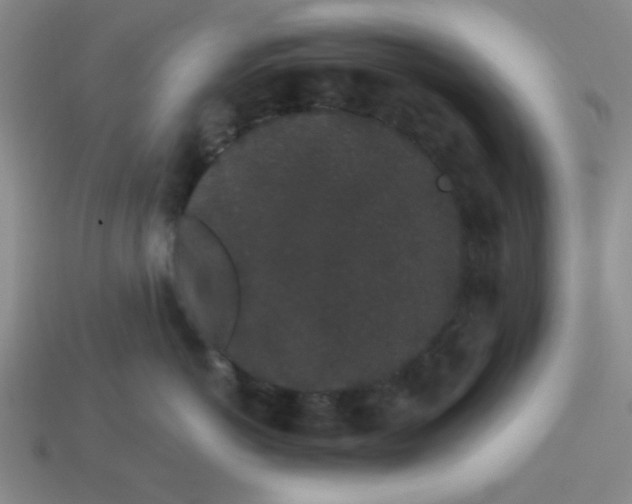 X0000113980766200910161622