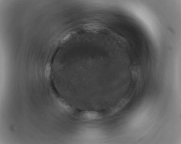 X0000113980767200910161622