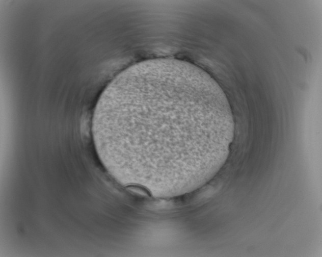 X0000113980768200910161622