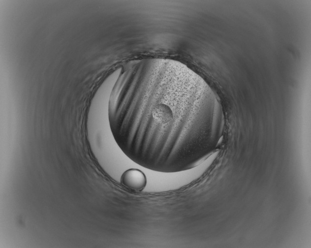 X0000113980769200910161622