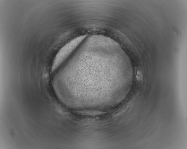 X0000113980771200910161622