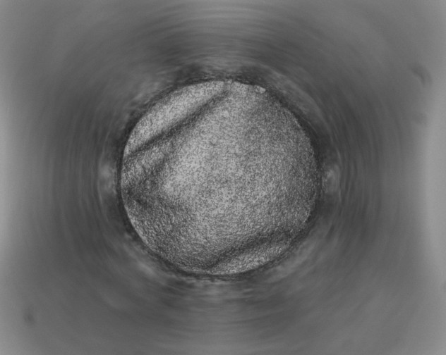 X0000113980772200910161622