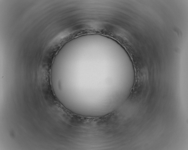 X0000113980773200910161622