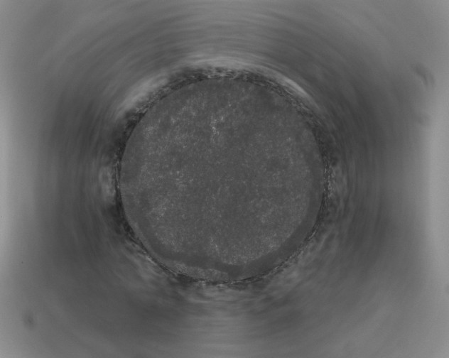 X0000113980774200910161622