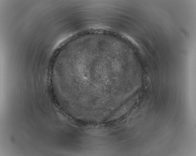 X0000113980775200910161622