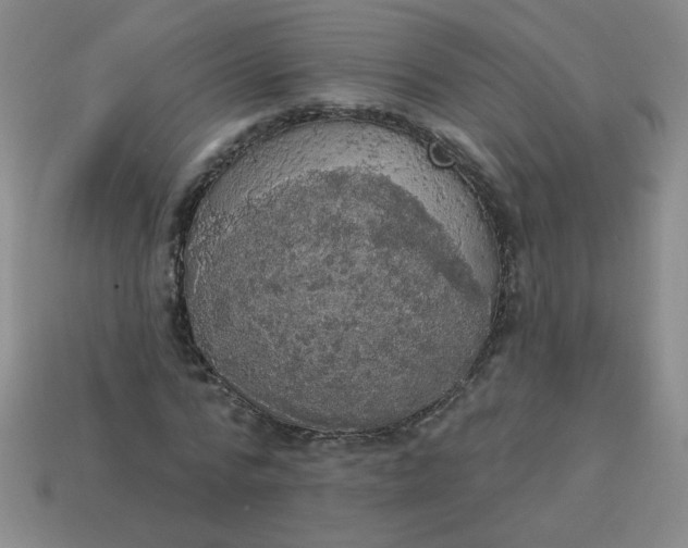 X0000113980776200910161622