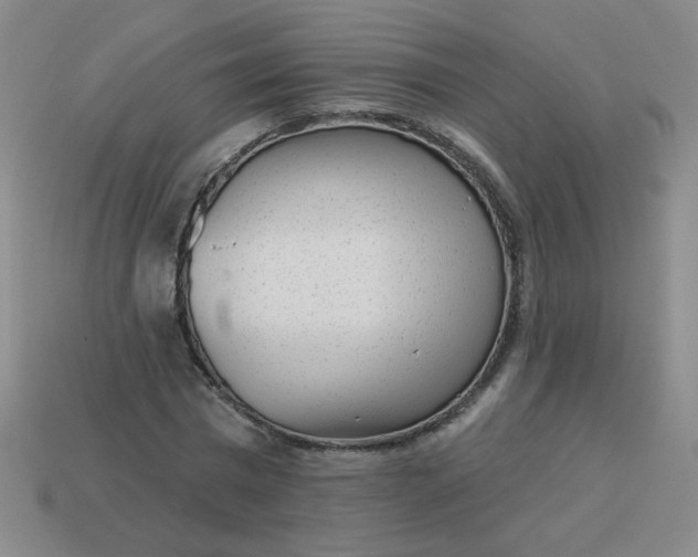 X0000113980777200910161622