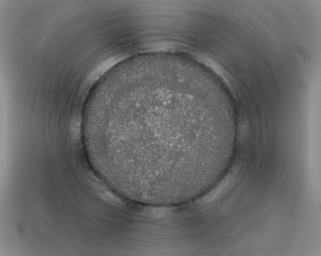 X0000113980778200910161622