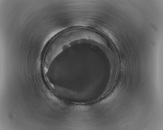 X0000113980779200910161621