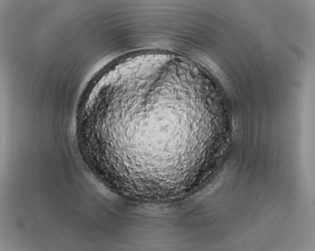 X0000113980780200910161621