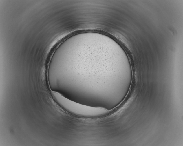 X0000113980781200910161621