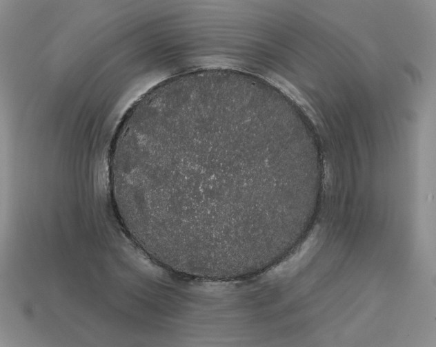 X0000113980782200910161621