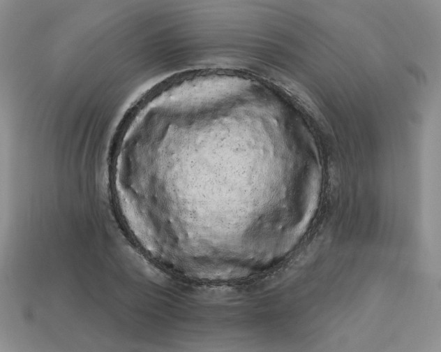 X0000113980784200910161621