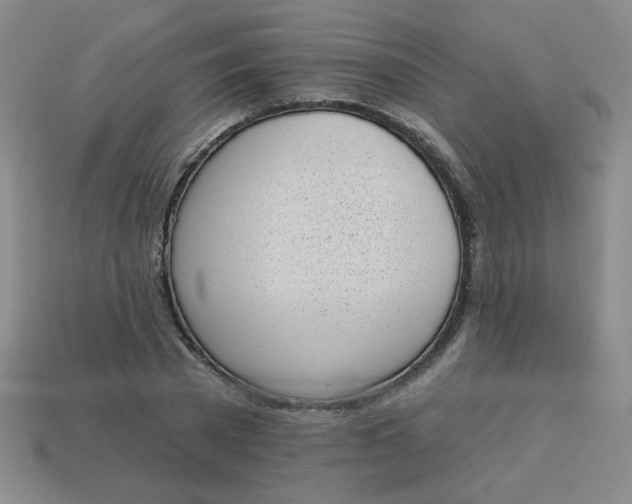 X0000113980785200910161621