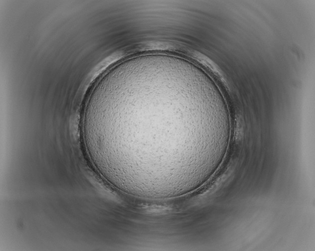 X0000113980786200910161621