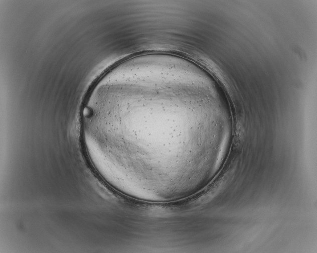 X0000113980787200910161621