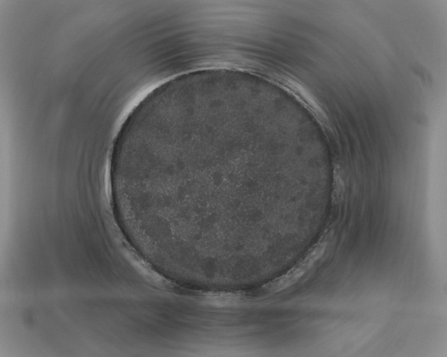 X0000113980788200910161621