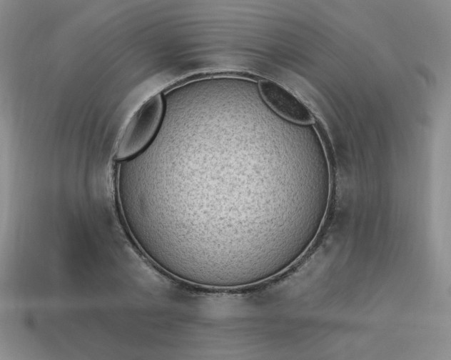 X0000113980789200910161621