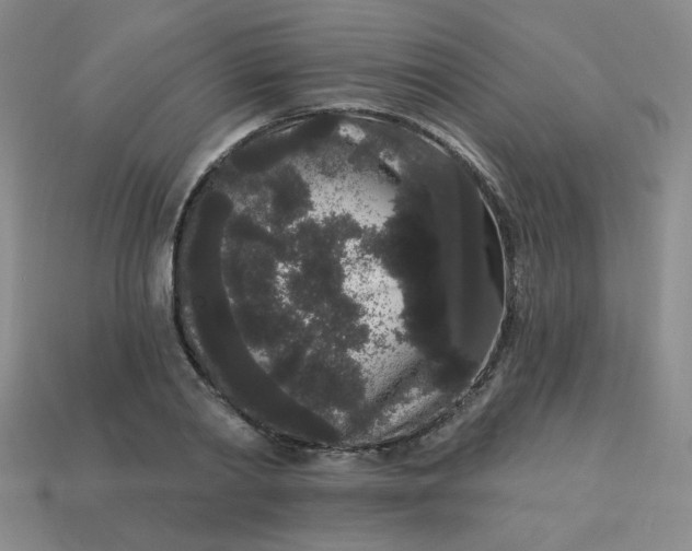 X0000113980790200910161621