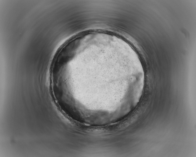 X0000113980791200910161621