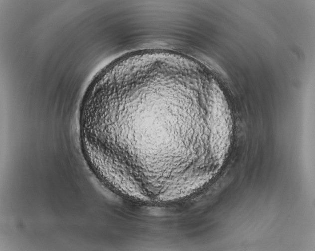 X0000113980792200910161621