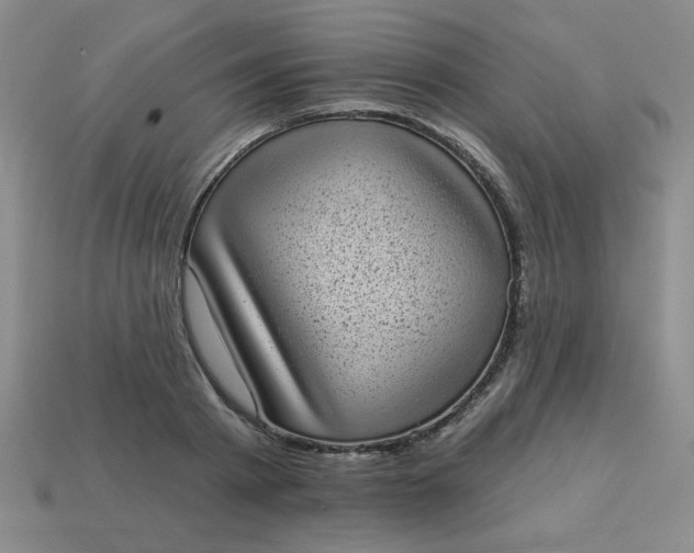 X0000113980793200910161621