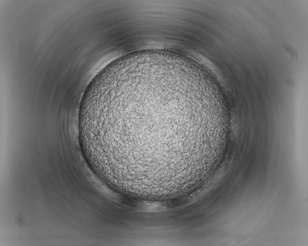 X0000113980794200910161621