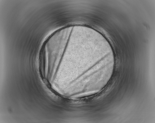 X0000113980795200910161621