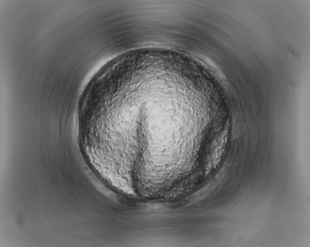 X0000113980796200910161621