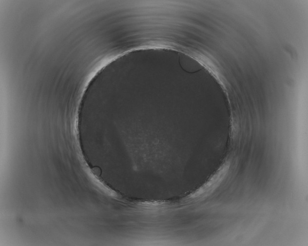 X0000113980797200910161621